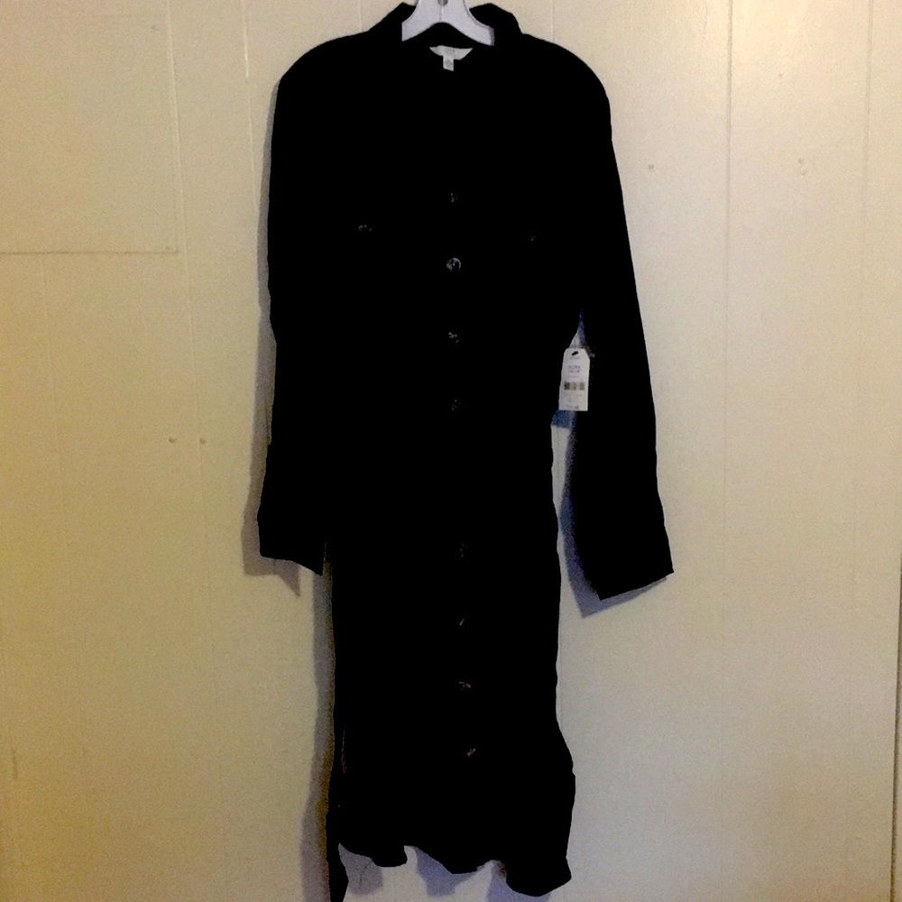 I have NWT midi dresses of Time & True brand.